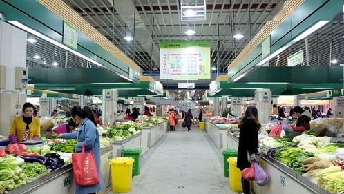 路橋食光 共享美味，打造農(nóng)產(chǎn)品批發(fā)新生態(tài)